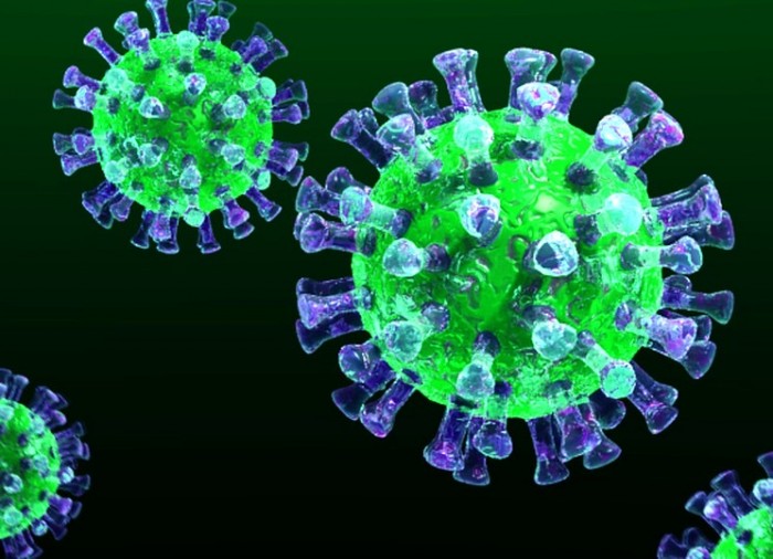 Koronavirus-chto-eto-za-bolezn-simptomy-i-prichiny