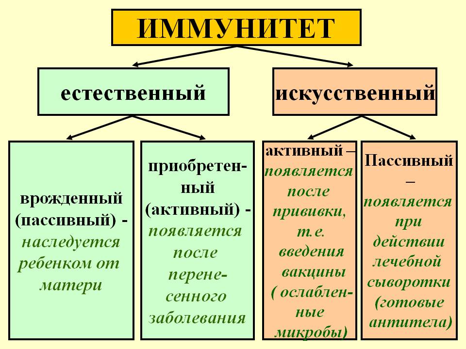 Kak-ukrepit-immunitet-vzroslomu-cheloveku-v-domashnih-usloviyah